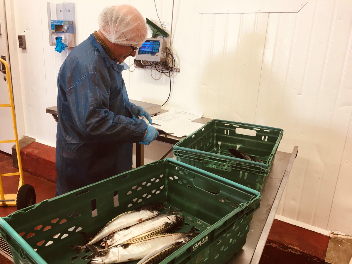 #OceansOfLearning

<a href="/BordIascMhara/">Bord Iascaigh Mhara (BIM)</a> and Killybegs Pelagic Processors (Island Seafoods, WardFish &amp; Atlantic Fresh) are working together on a project to see what chilling locations can optimise the shelf life of mackerel

#BIMinaction #OceansOfLearning #Killybegs #Donegal