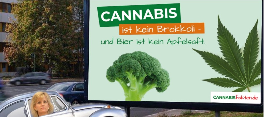 pYranhia's tweet photo. Spendet für ein 🥦-Plakat vor Ludwigs Haustür. Jeder Euro zählt! #EinPlakatFürLudwig 💚🌱
https://t.co/8gSUIiBp4m https://t.co/AvfavciR2q