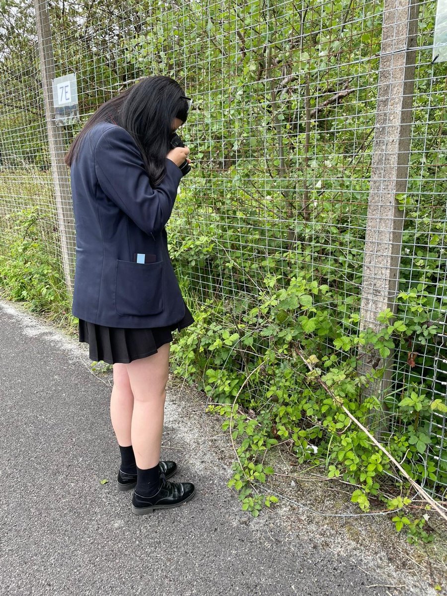 derbyhighbury's tweet photo. Year 10 students are shooting photographs looking at different textures, inspired by Aaron Siskins #EduArtsFest https://t.co/KMgIwV4xor