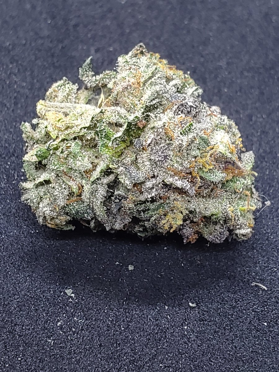 Getting ready for the holiday weekend with a nug of Cornbread. 
You'll be able to try some,
when the fresh harvest is ready and tested.
Grown By Fritz Farm and Harvesting CO.
Come in and see us in Miami OK.
Follow us on Twitter or Instagram and receive 
a Followers perk.