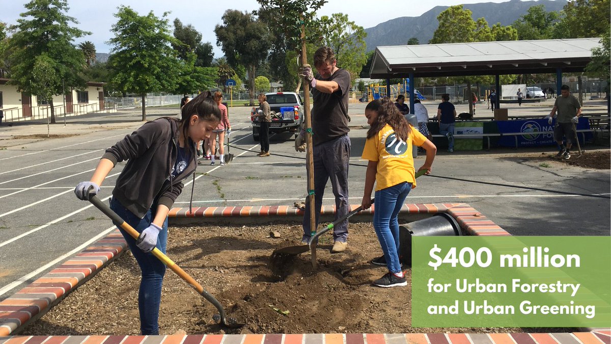 Sacramento Tree Foundation tweet media