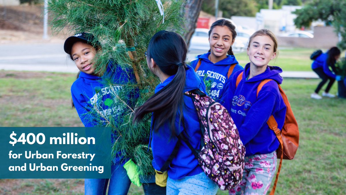 Sacramento Tree Foundation tweet media