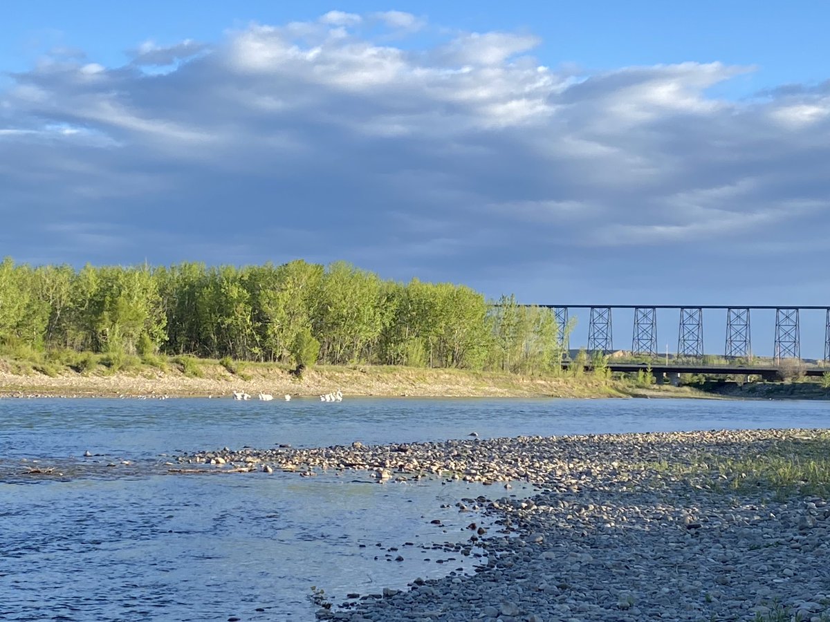 jte2013ac's tweet photo. Thanks for all your photographic inspiration  ⁦⁦@drdagly⁩ Our river valleys are something special. #YQL this morning on my ride. #gratitude https://t.co/eoPElCWcCU