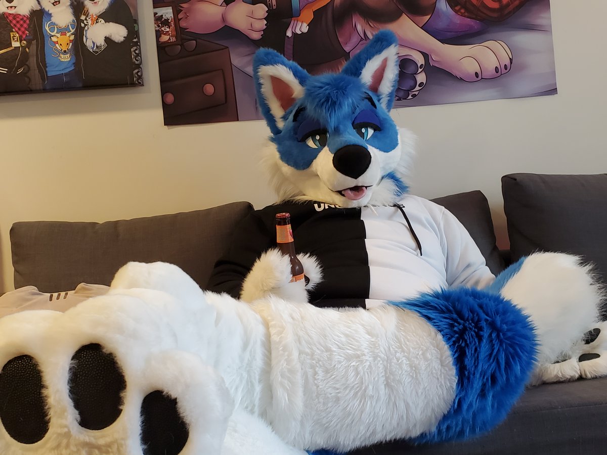 PolarisWoof's tweet photo. Hey, you! It's #FursuitFriday! Come kick back with a big dog.🐺 📷: @Flinterstuff https://t.co/Q4KqbXs7Yb