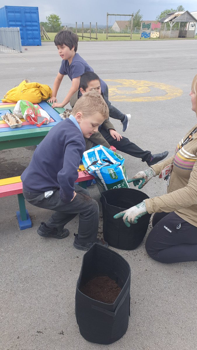 Amber_Ruby_PPS's tweet photo. 🥔 We are growing Lady Christl and Charlotte potatoes. We started a process called chitting which prepares the potatoes. We then transferred them to a black box container. Watch this space....🥔 https://t.co/h4mZ4avjl9