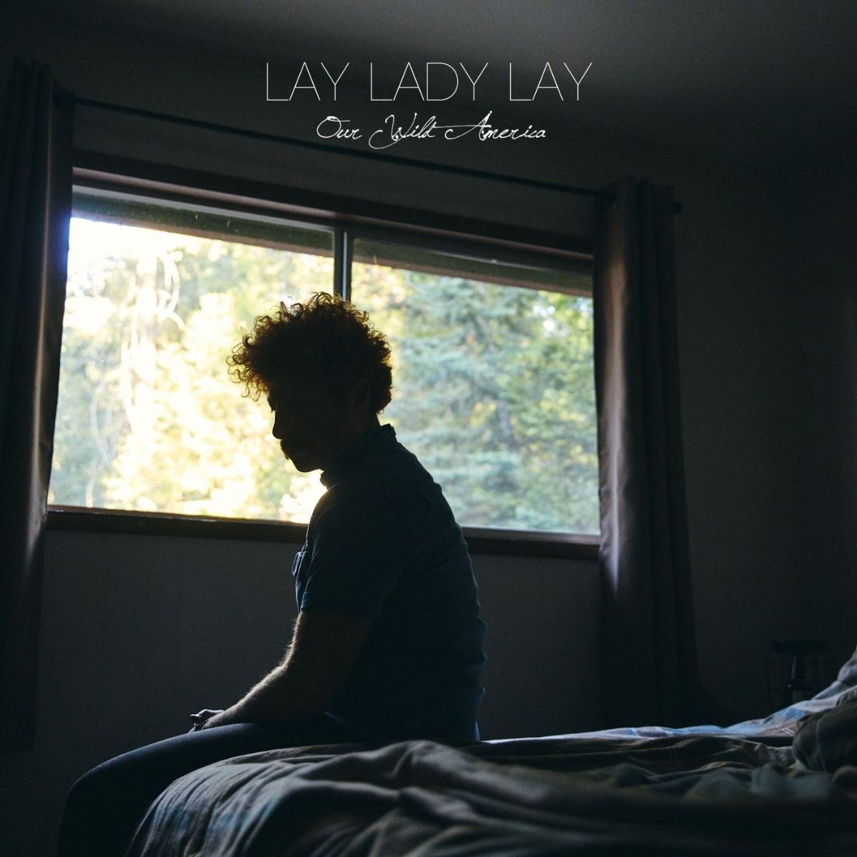The May Release - Cover of Bob Dylan's "Lay Lady Lay" - mailchi.mp/133d1636bdce/s…