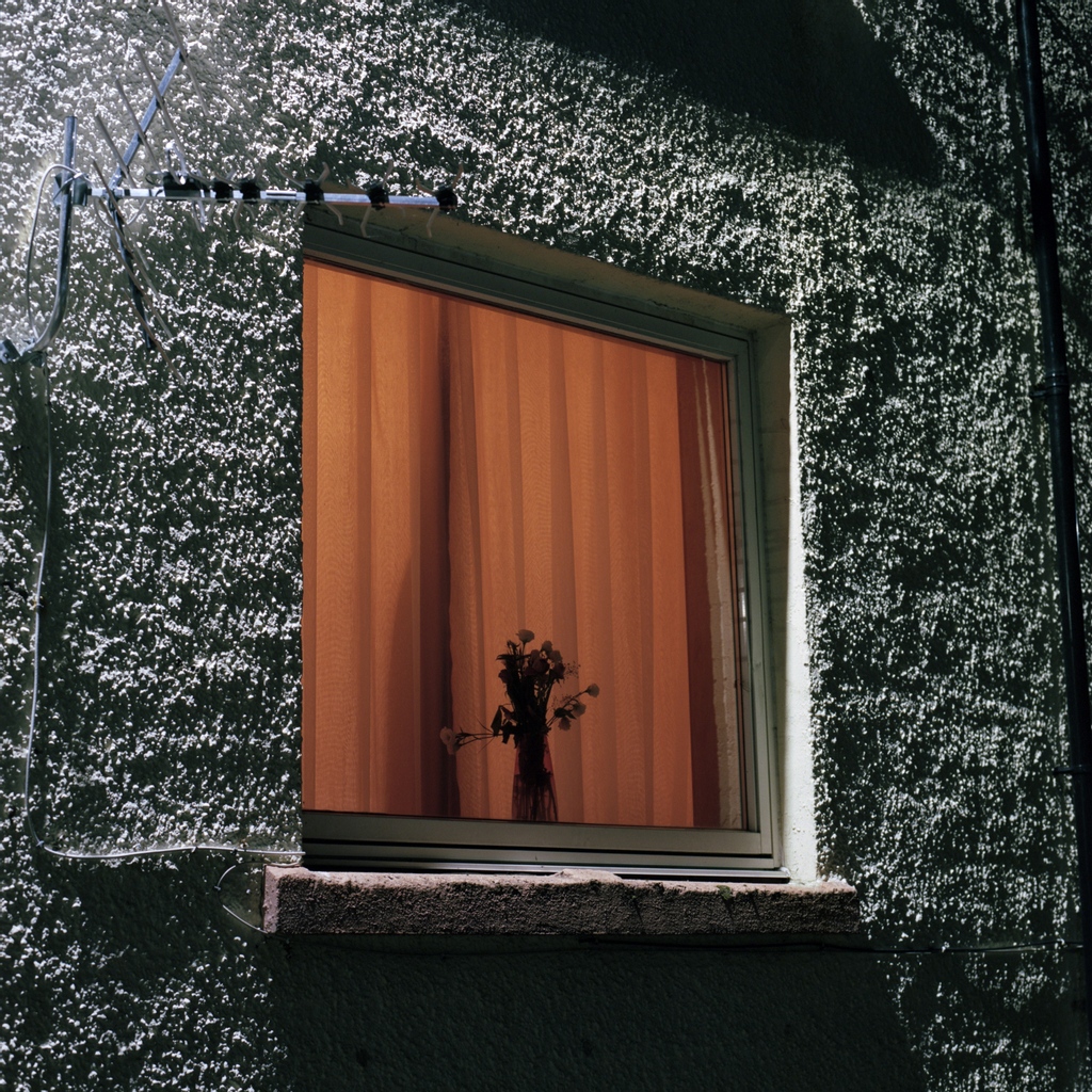 kilipresents's tweet photo. ✨ @wyldest's brand new album #MonthlyFriend is out today! ✨ Stream/watch the Making Of... video here: https://t.co/n3UmHPkw1G https://t.co/O5bW1o6PYC