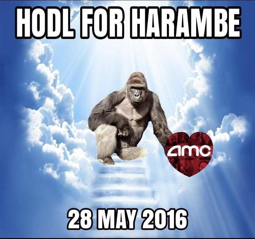 Tone2607's tweet photo. #AMC #amcsqeeze #HODL #AMCAPES #AMC500k #GMESQUEEZE #hamabre https://t.co/aSwaDmR7O7