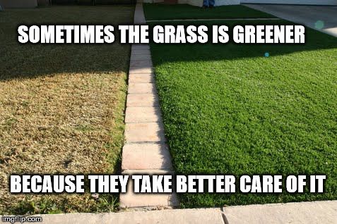 commcuttingeq's tweet image. It's like the old saying goes, buy a new mower and your lawn will look better...or something like that!! 🤔🤣We have lots of options from full residential, light commercial and full commercial units to fit your needs so come in and see us! #cce #shoplocal #buylocal #mower #lawn