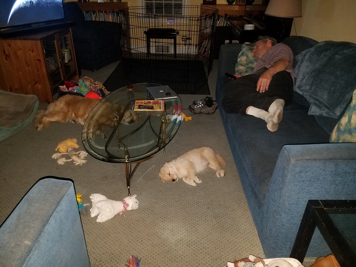 ExiledSenpai tweet media