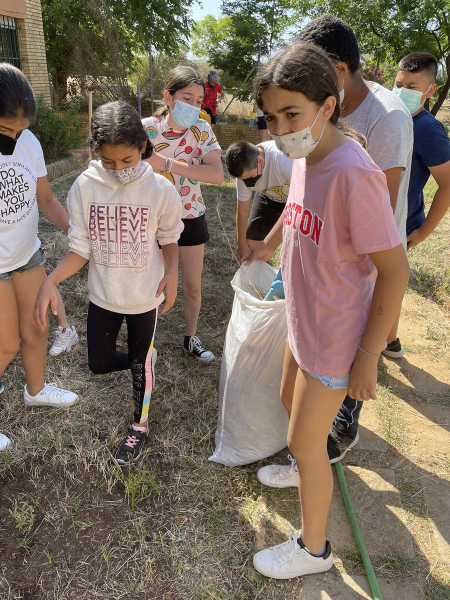 CEIPJJRebollo's tweet photo. Durante la mañana de hoy el alumnado de sexto de primaria ha podido ir al Huerto Escolar para cuidar y comprobar el crecimiento de los tomates, pimientos, pepinos, acelgas, albahaca… plantadas. @EcoescuelasAND @

#AldeaJJ
#HuertoJJedu https://t.co/hipqppezJx