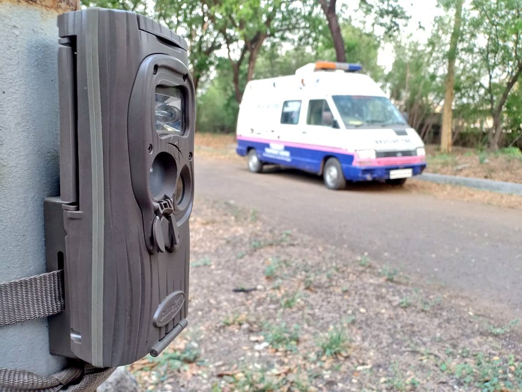 RanjitVDeshmukh's tweet photo. #forest #department #install #cameras to #track the #animal after they found a #pugmark possibilly of a #leopard
#AnimalCrossing #nature Hunt #park #zoo #wildlife #mananimalconflict #conflict #petrolling #vnit #npti #Nagpur #santuryasia #mumbai https://t.co/8bS7p4d9kG