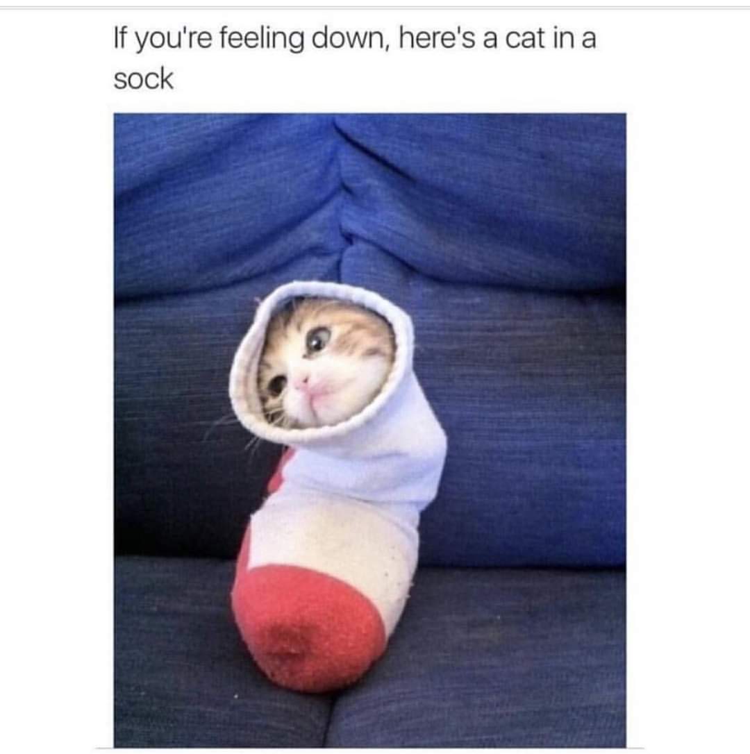 Memes Be Happy Now
