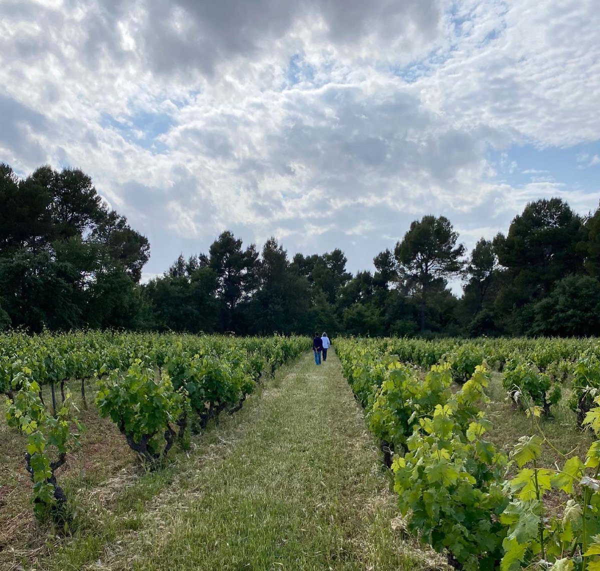 Pura energia 🔥 visitar a la Sònia i el Jordi 🤘🏻de <a href="/CARLANIACELLER/">CARLANIA CELLER</a> amb l’equip del <a href="/BarSalvatge/">Bar Salvatge</a> 🤪 
.
Gràcies mil 🍷 cracks!!!