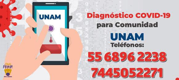 CovidUnam's tweet photo. 📢 ¡Agenda tu cita vía telefónica o WhatsApp! 🦠🧪

📞☎️📱7445052271
📞☎️📱5568962238 https://t.co/CzN5r7aRWy
