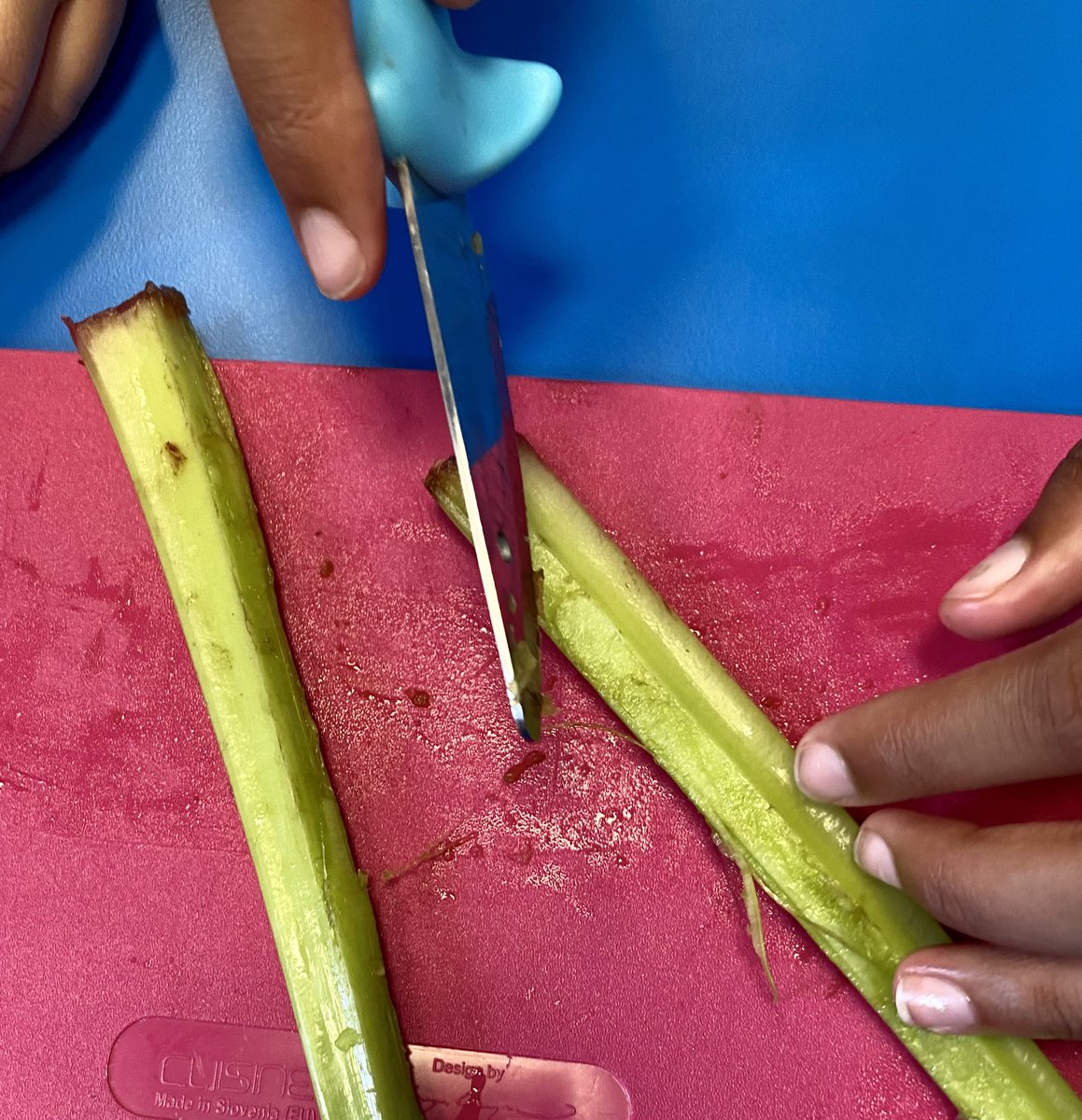 hackforthschool's tweet image. Developing our knowledge of water