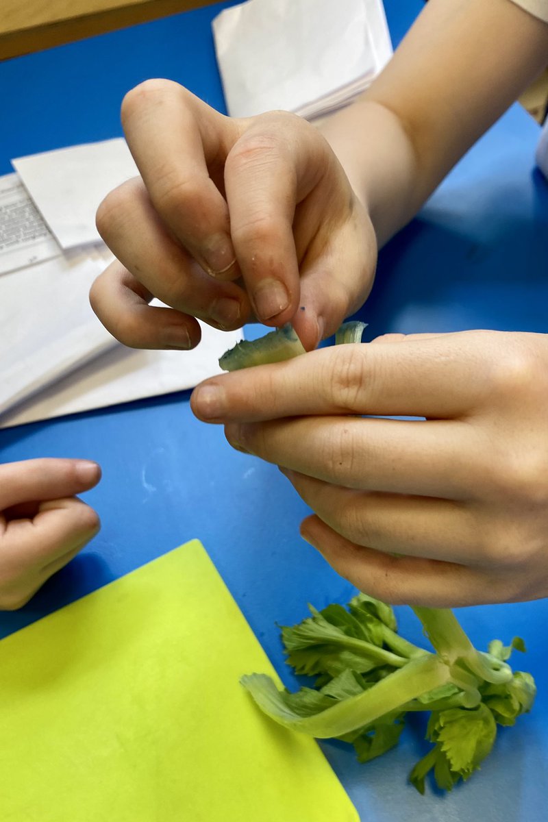 hackforthschool's tweet image. Developing our knowledge of water