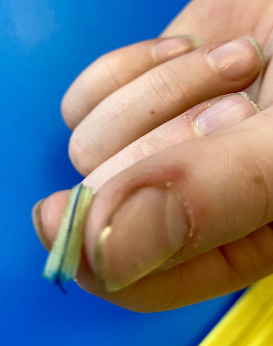 hackforthschool's tweet image. Developing our knowledge of water