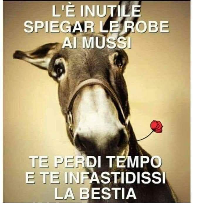 DeboraBastiane1's tweet photo. Serve aggiungere qlc? https://t.co/zznrfRVlng