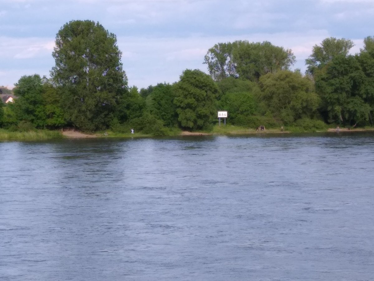 Rheinpegel's tweet photo. #Rheinkilometer 664 rechtsrheinisch gegenüber #Widdig https://t.co/lyn7I8Kpfm