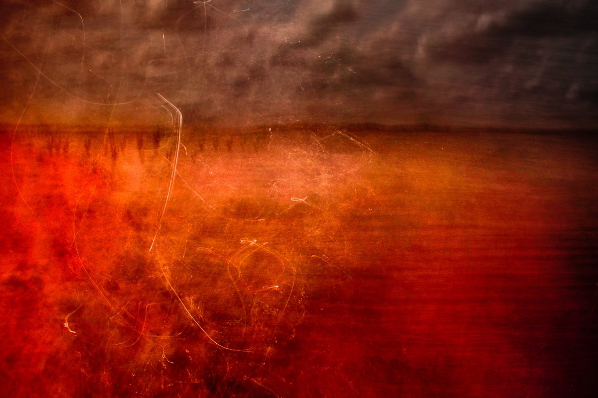 toiblarlos's tweet photo. •
#ChrisFriel
• https://t.co/bGIDrNqNmJ