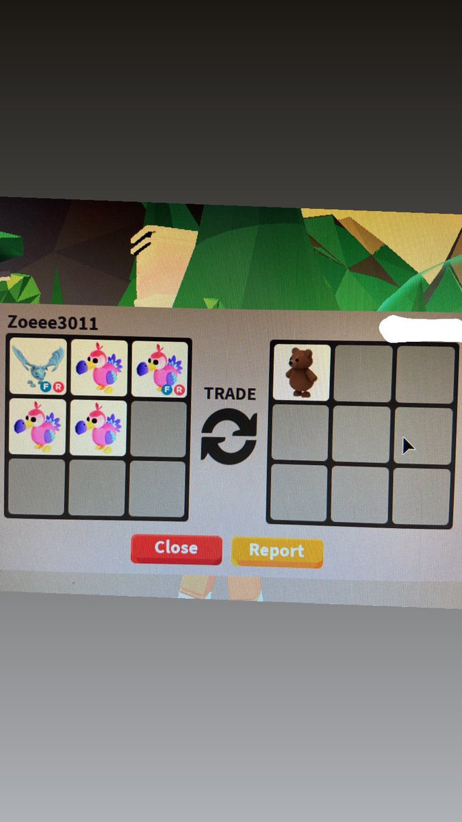 zoeee3011's tweet photo. @dn4ies is 100% trusted!!! (give her frost dragon and 4 dodos for 1.700 robux!) https://t.co/eoNFzyPLWB