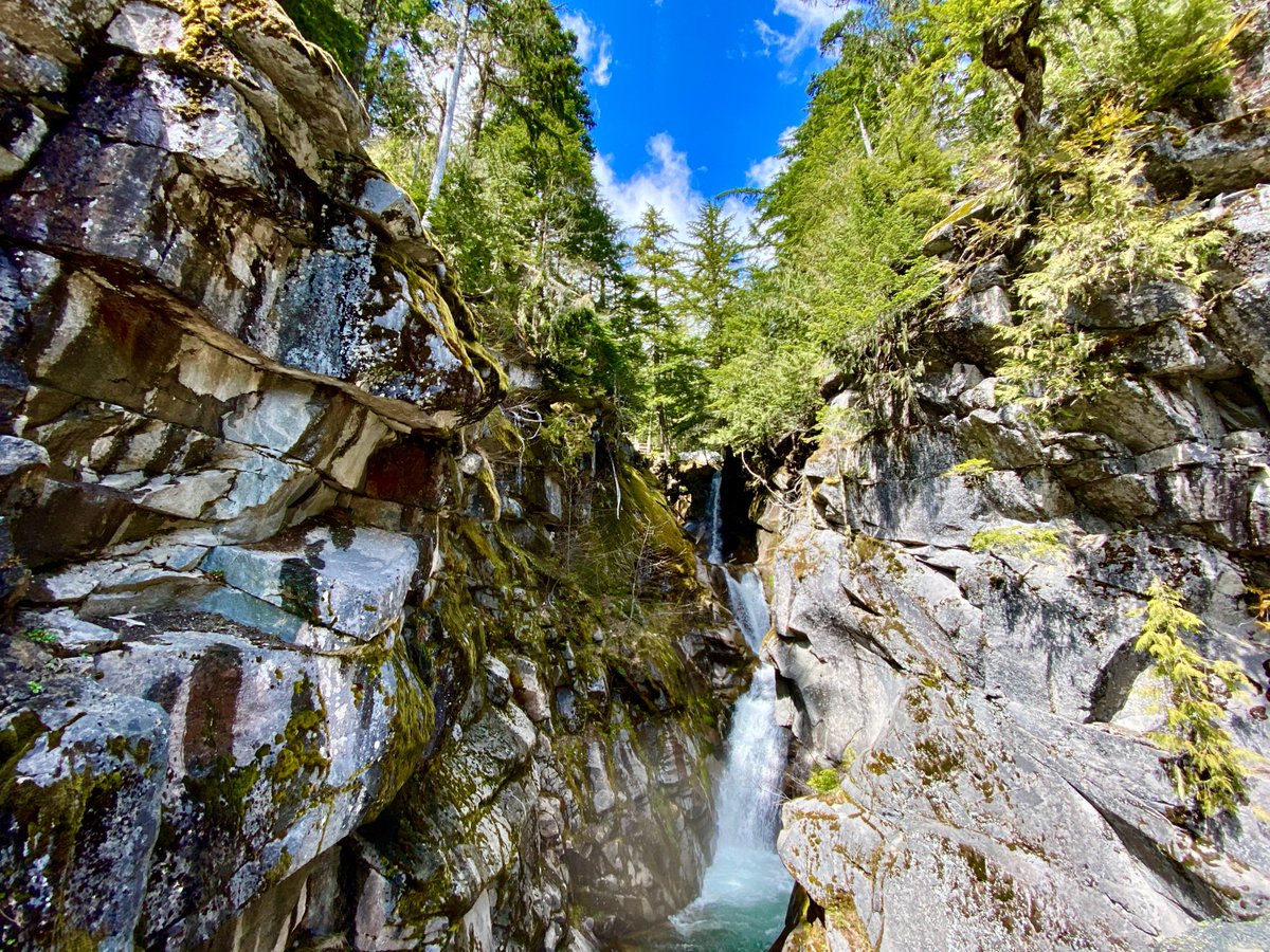 SeattleMaven's tweet image. Looking for a woodsy getaway? I was too, so I took a trip earlier this month to @VisitRainier and I've been excited to share the highlights! Fresh on the blog: seattlemaven.com/2021/05/28/del… #DeliciousDestinations #Travel 🗻🌲🚗