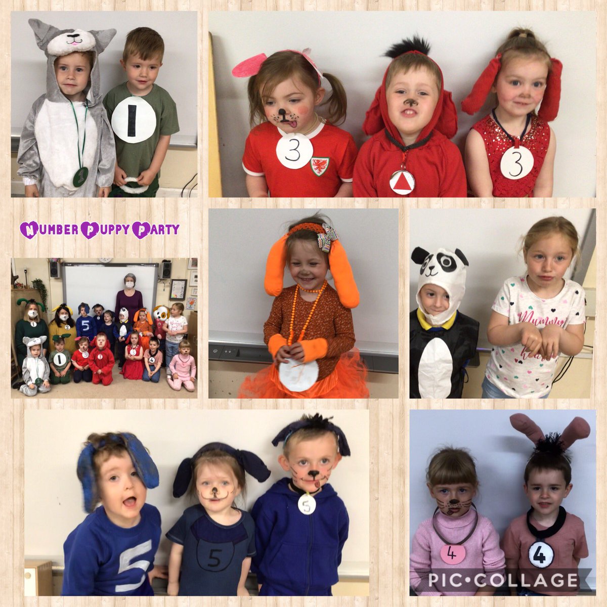 Carolin63261632's tweet photo. Today Mrs Dogbie was in Dosbarth Pebble with lots of her number puppies. Everyone looked fantastic. The puppies were really good and very busy. 1/4 @cwmffrwdoer @SnookMrs @KT_Matthews https://t.co/tp0uSsQX9M
