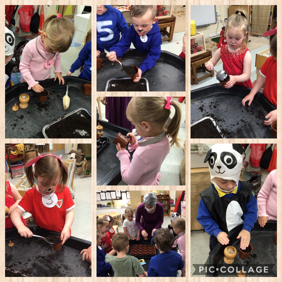 Carolin63261632's tweet photo. In their stories Puppy 3 and 4 were a bit naughty, chasing birds, knocking Mrs Dogbie’s washing off the line and digging up her flowers. Today we helped by pegging out her washing again and planting some new flowers. 2/4 @cwmffrwdoer @SnookMrs @KT_Matthews https://t.co/gmsUYYI2iC