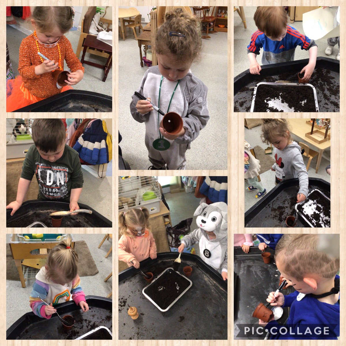 In their stories Puppy 3 and 4 were a bit naughty, chasing birds, knocking Mrs Dogbie’s washing off the line and digging up her flowers. Today we helped by pegging out her washing again and planting some new flowers. 2/4 <a href="/cwmffrwdoer/">Cwmffrwdoer Primary</a> <a href="/SnookMrs/">Mrs Snook</a> <a href="/KT_Matthews/">Katy Matthews</a>