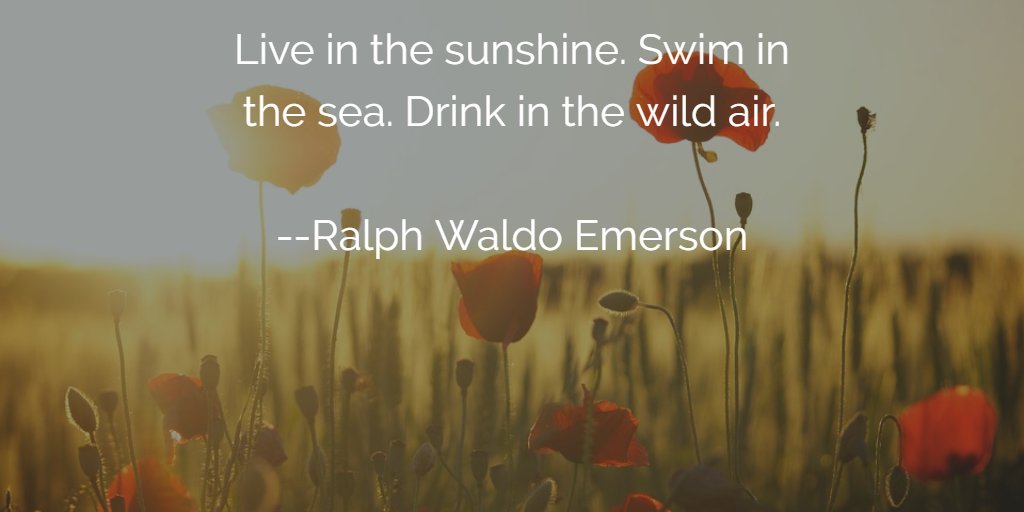 SAISnews's tweet photo. The unofficial start of summer is upon us! Here's to good rest and deep restoration and many happy moments in the weeks ahead.  #MemorialDay2021 #HappyMemorialDay #herecomessummer #whataschoolyear #youmade it # https://t.co/gyiZEV6ytF