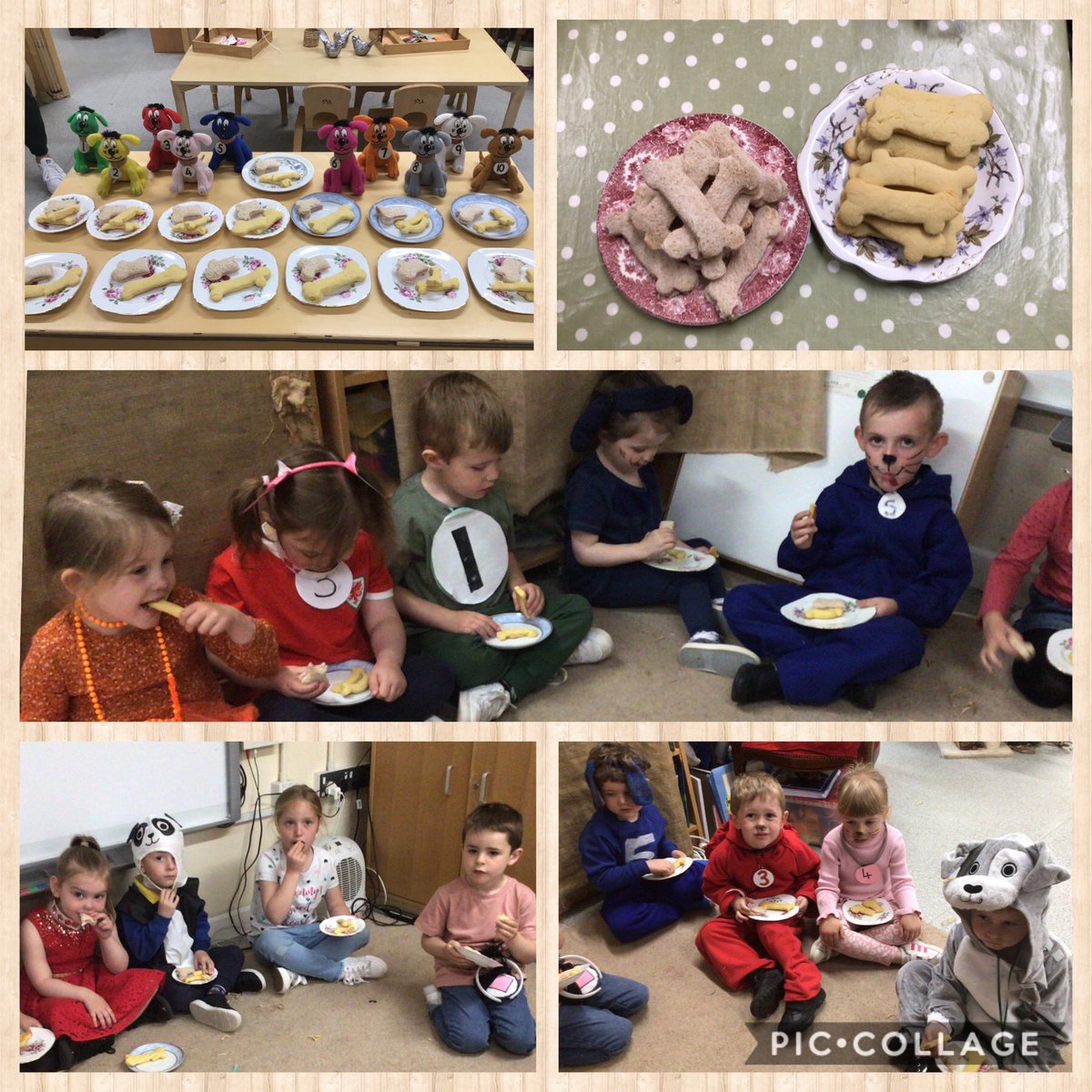 Carolin63261632's tweet photo. After a really busy day, Mrs Dogbie thought all the puppies deserved a puppy party picnic. All the puppies enjoyed the bone biscuits the children made earlier in the week. @cwmffrwdoer @SnookMrs @KT_Matthews https://t.co/gyOHqRnDa1