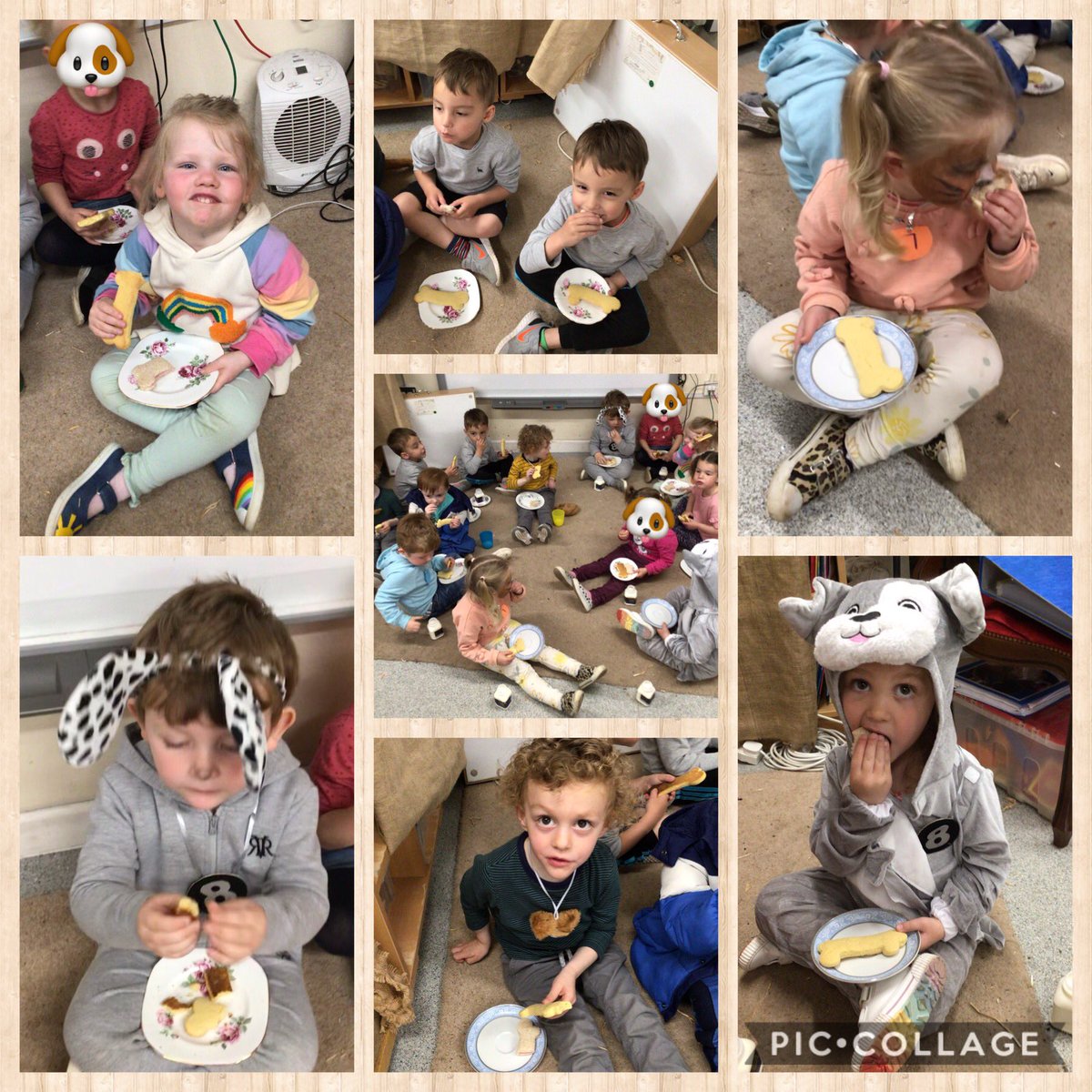 Carolin63261632's tweet photo. After a really busy day, Mrs Dogbie thought all the puppies deserved a puppy party picnic. All the puppies enjoyed the bone biscuits the children made earlier in the week. @cwmffrwdoer @SnookMrs @KT_Matthews https://t.co/gyOHqRnDa1