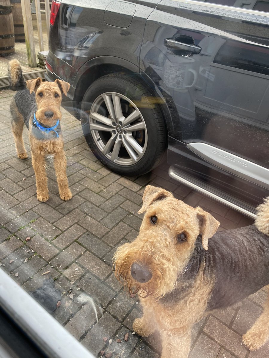 Excuse me but any chance you could let us back in please?