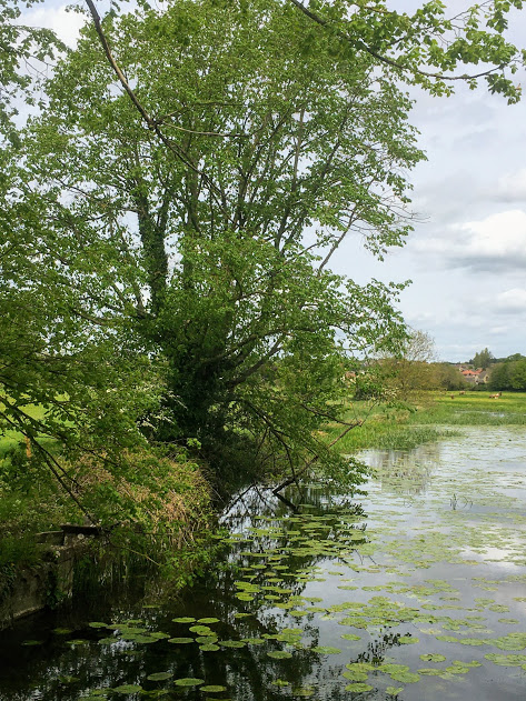 More photos from Gemma’s walkshop! ☺️

Don’t forget 👇
Open day - St Peter’s church
Saturday 29th May 2021
10.00am - 3.00pm - free no need to book
#Sudbury @BaberghDistrict @alleyes_thisway @thepublicartco @sudburysuffolk @SudburyTC @TownOfSudbury @moreSudbury