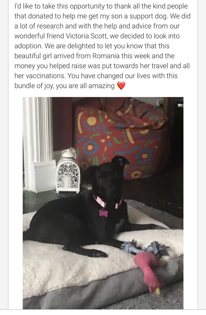 DeniseGooner13's tweet image. Thank you my friends ❤️ #SupportDog #JustGiving