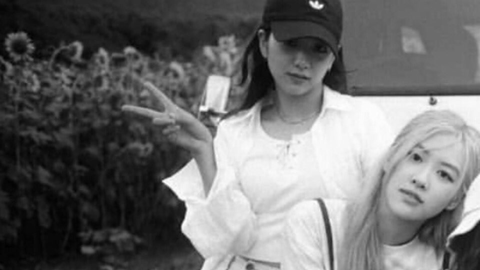 ninnieartc's tweet photo. ｡ﾟﾟ･｡･ﾟﾟ｡
ﾟ。elas, apenas elas..💭
 　ﾟ･｡･ https://t.co/GErkW3Q5nt