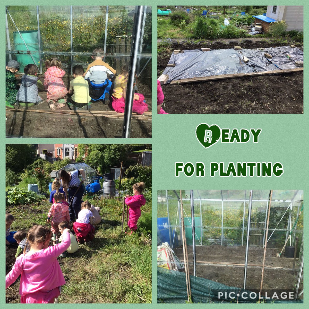 Carolin63261632's tweet photo. We worked so hard at the allotment on Thursday. We have finally cleared our greenhouse and plot ready for planting. We loved finding potatoes and each took one home. I wonder if you could do some potato printing over half term? @cwmffrwdoer @SnookMrs @KT_Matthews @BronAfon https://t.co/6UHBHwnRkZ