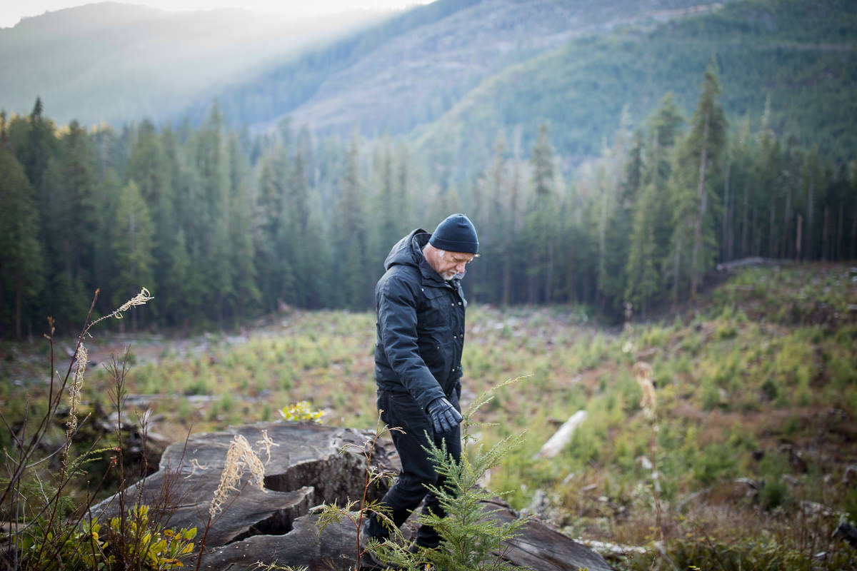 EdwardBurtynsky's tweet photo. What’s happening in BC right now is a devastating moment in history that can't be taken lightly. The destruction of ancient forests &amp; biodiversity is a detriment to our planet &amp; to our lives on it. We'll never see trees like this again in our lifetime &amp; neither will our children. https://t.co/OjKiWwvxEx