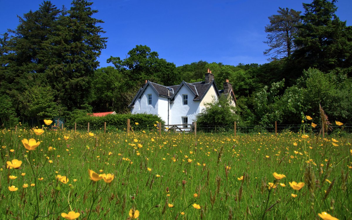 DrimninE's tweet photo. #Drimnin #LateDeal
Due to a last minute cancellation we have 2 nights available in Achnacriche Bed &amp; Breakfast from the 31st May.
For more details or to book https://t.co/CcS5KEUpYN
Evening meals &amp; picnic lunches available.
@VisitScotland @WestPeninsulas https://t.co/bY9evjJYOQ