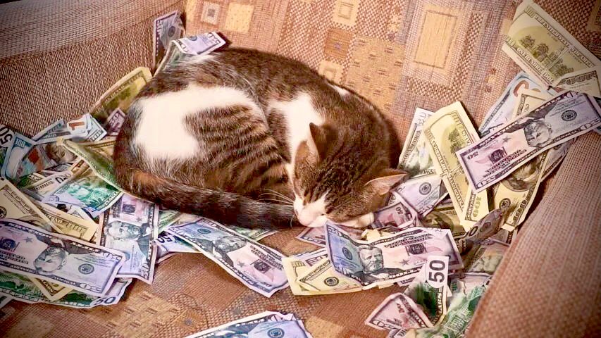 MissCar0lina's tweet photo. ‘Sleep like you really have to think over why people got mad about your modest bonus’
#sleeplike #bookingcom https://t.co/ECYGSkG0PD