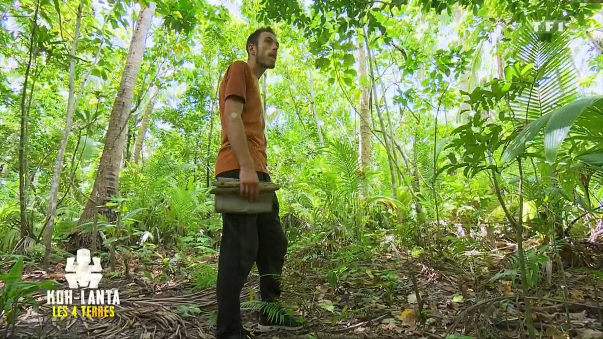 Anaïs Martin tweet media