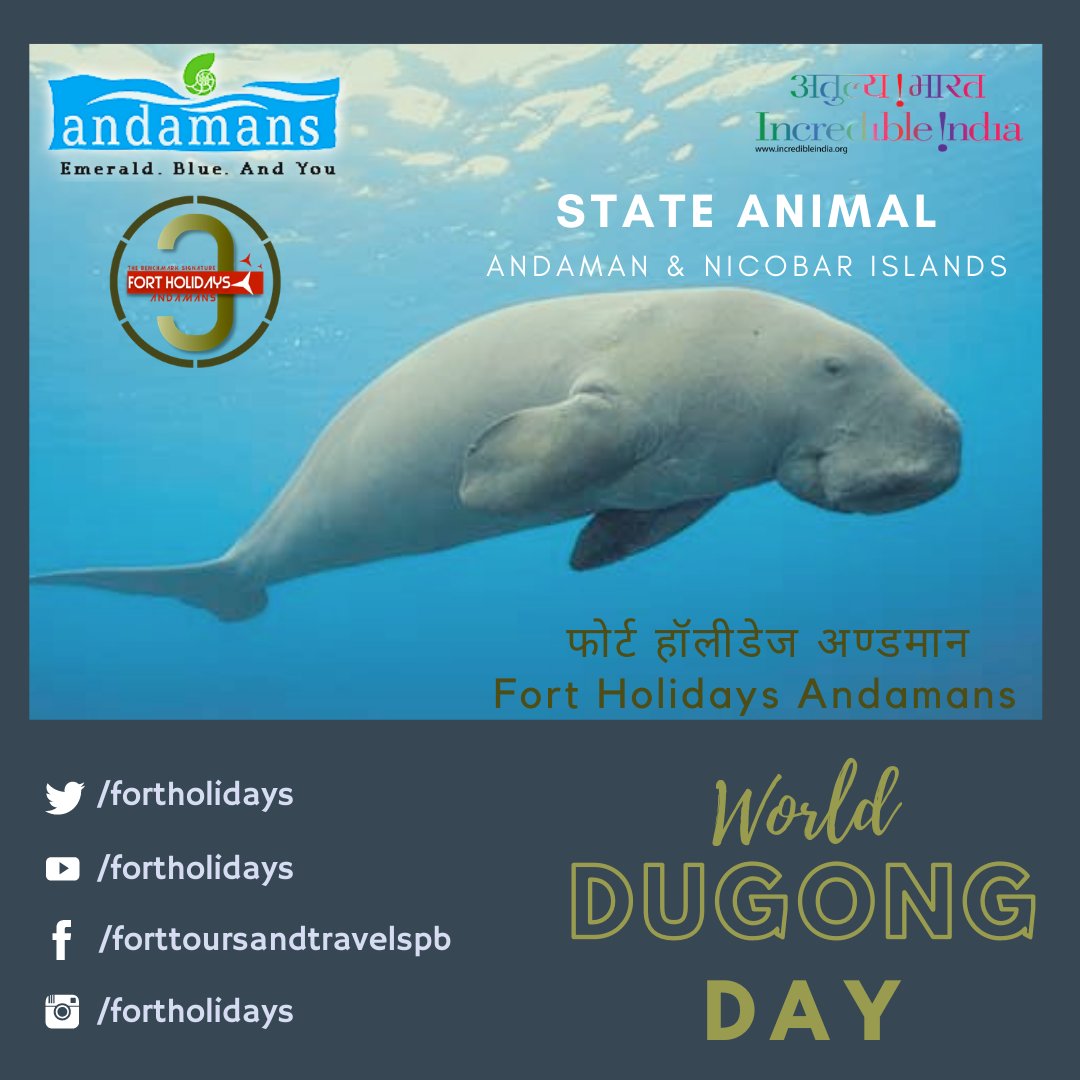Fort Holidays Andamans🇮🇳 on Twitter: Fort Holidays Andamans🇮🇳 on Twitter: