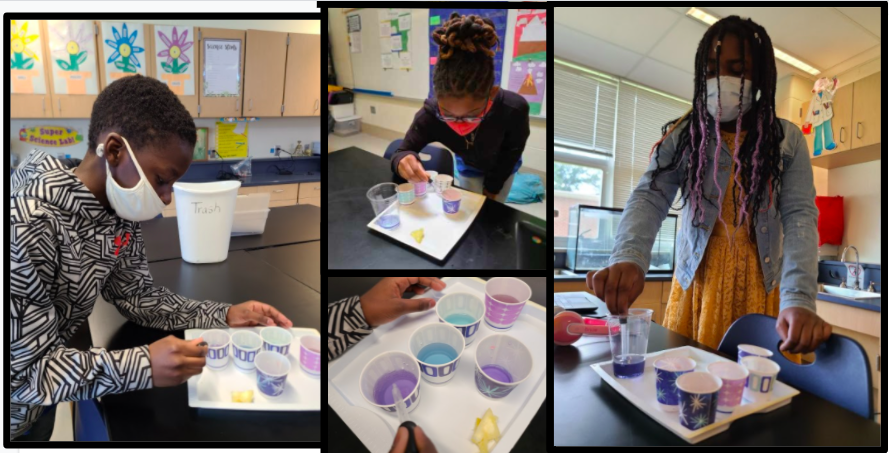 GWES_PGCPS's tweet photo. #GWESProud Gr. 4 students in Mrs. Wright's Science class tested household products using cabbage juice as an indicator to see if they were acid bases or neutrals. #ScientistsAtWork👩🏽‍🔬🧪👨🏾‍🔬  #HumanImpact #StopAcidRain @pgcps @PgcpsScience @PGCPSTAG @HolidaySusan @drhelencoley 💙💛🐯 https://t.co/dbdQQWB5EX