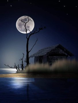 Reflejo_deLuna's tweet photo. Por siempre deseó ser el sol que ilumina el amanecer de tus éxitos.
Y la luna que arropa tu alma y tu corazón hasta en el más profundo de tus sueños.
Te amo con cada gota de locura sin tomar en cuenta mi cordura!
@SalRios__ https://t.co/YGpJOxQ6PH