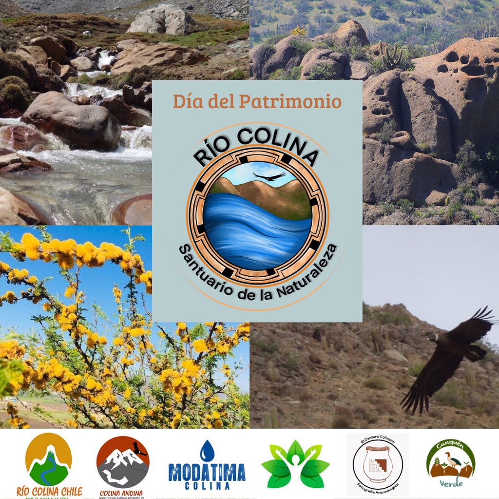 Modatima Colina tweet media