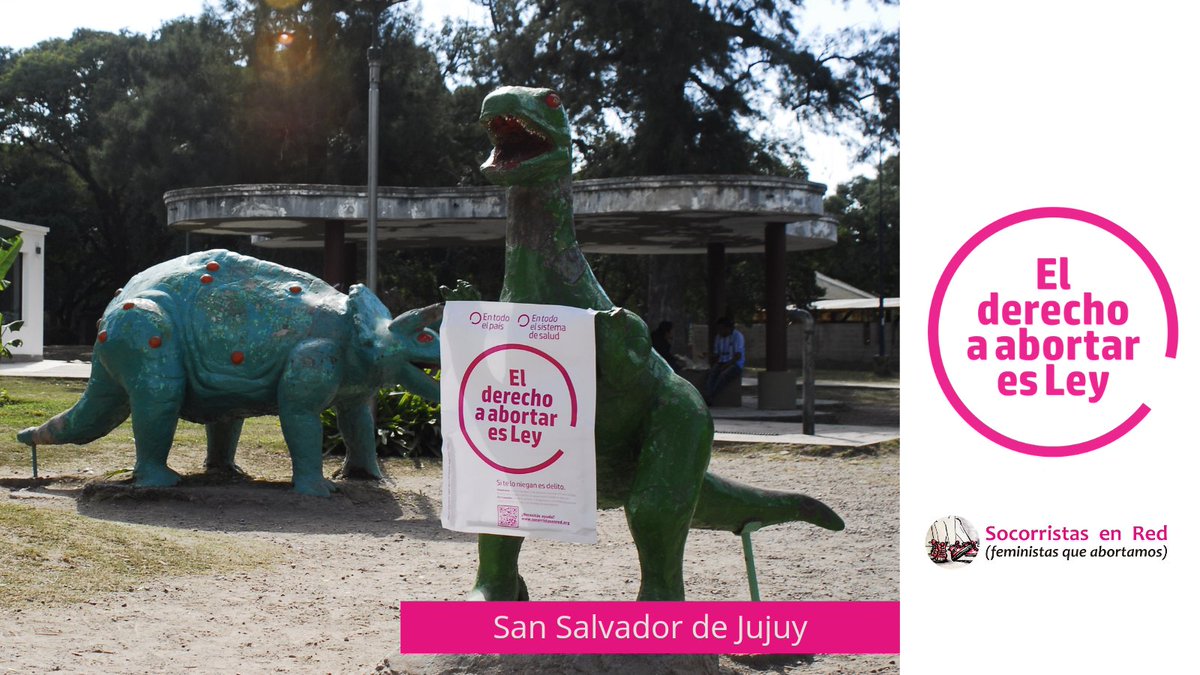 socorristasarg's tweet photo. ¿Puede una institución del sistema público de salud negarse a practicarme un aborto por manifestarse Objetora? No. 
En #Jujuy #ElDerechoaAbortarEsLey! https://t.co/CbnWt7uHjd