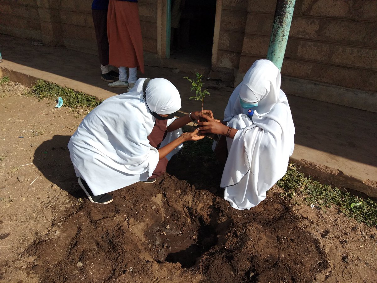 Ict011's tweet photo. We are so grateful to partner with @NYC_YouthVoice to mark the launch of an innitiative of #GreenKenyaWithNYC at Ramadhan primary school in Isiolo county 🙏.
@RoySasaka 
@CCF_Kenya 
@Asly_Amina 
@kiptoochemoiwo 
@nadia_abdalla_ 
@GalgaluGollo
@Salesajr2 
@Mushy93610732 https://t.co/UFCguB3iRV