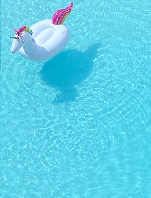 Our beautiful outdoor pool has been fully remodeled and opens today, May 28th for the summer season. Kick off your memorial day weekend at the Sheraton Music City! (Please note the pool is only open to registered guests) 🏊 👙 🦄 😎 🌊 🕶️