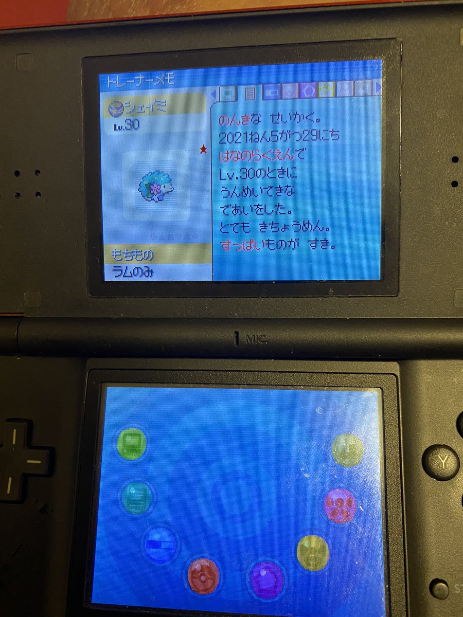 色違いシェイミ